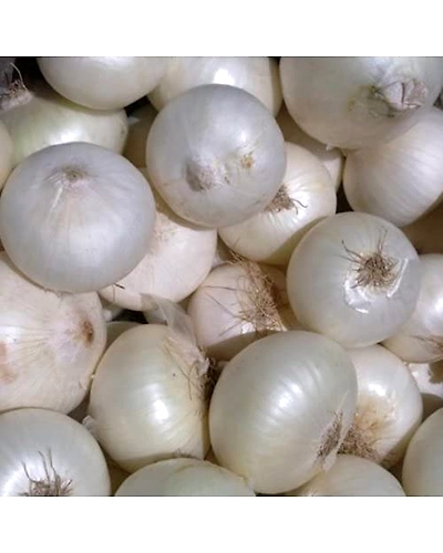 Denzcart Organic White Onion Directly From Farm (Packed By Farmer) 300g-1