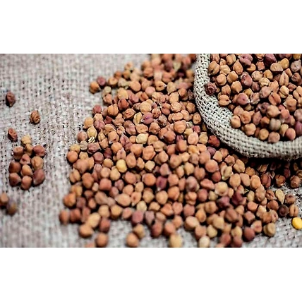 The Gir Organic Chana kala/Brown Chana/Chickpeas (Premium Quality ) (500g)-B09WY9NMLN
