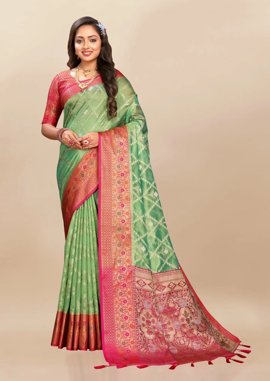 Soft Organza Silk Saree with Opulent Meenakari Weaving and Rich Pallu-RMNX-315-Pista