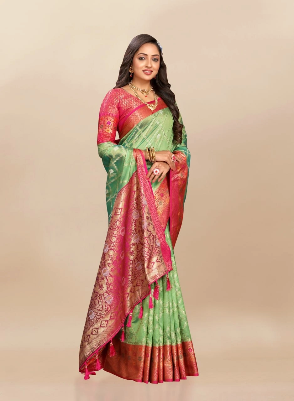 Soft Organza Silk Saree with Opulent Meenakari Weaving and Rich Pallu-Pista-1