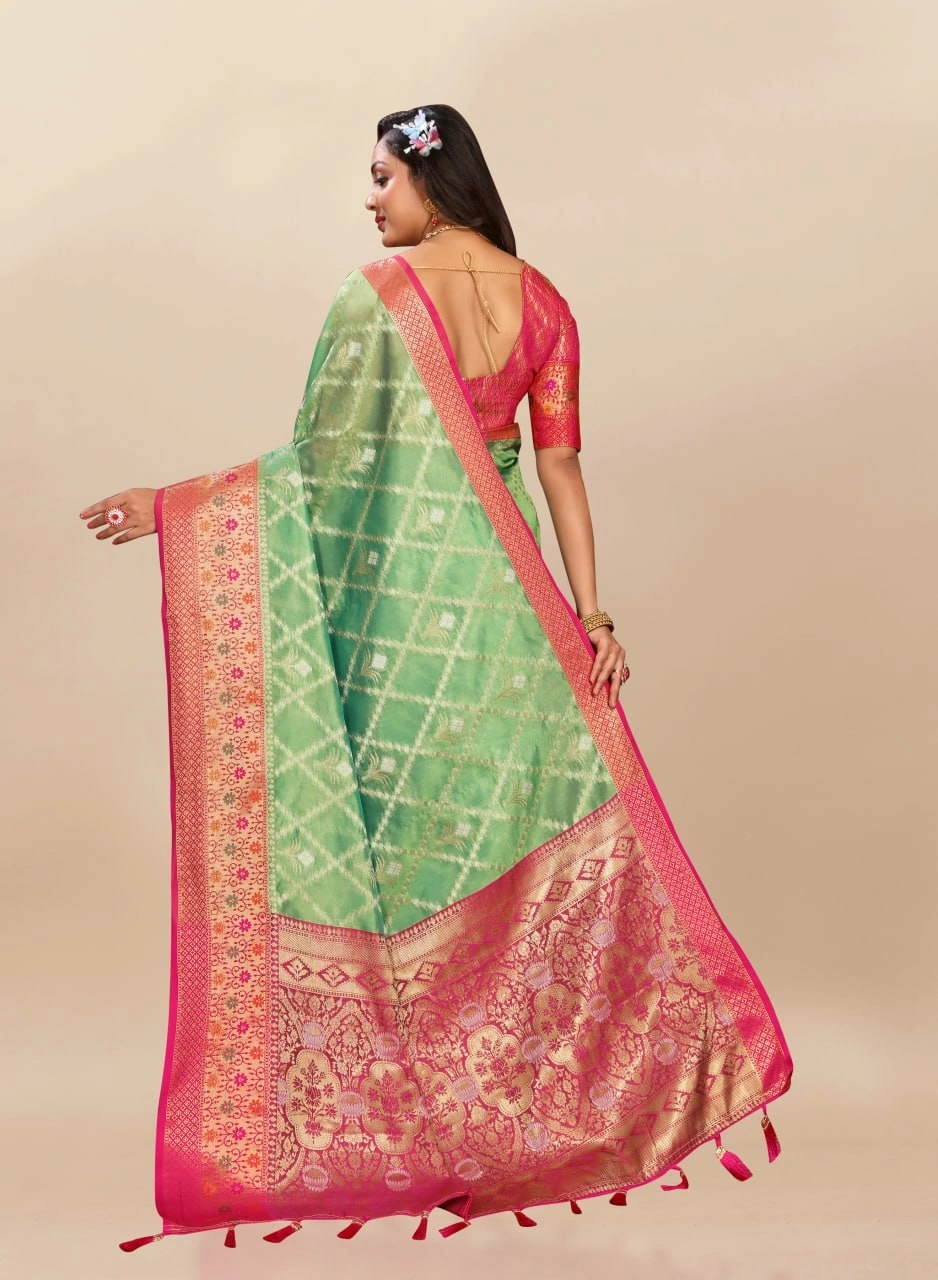 Soft Organza Silk Saree with Opulent Meenakari Weaving and Rich Pallu-Pista-2