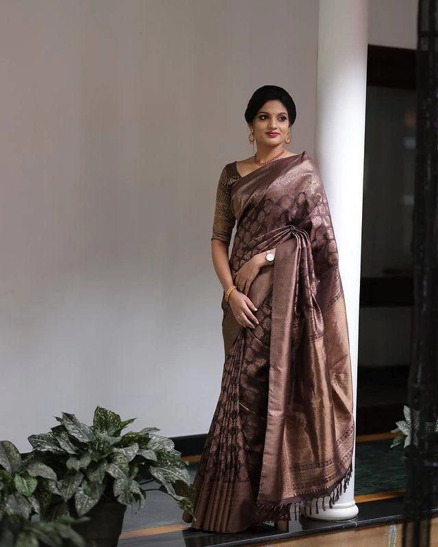 Soft Lichi Silk Saree with Golden Jari Border and Trendy Rich Pallu-SRIJyoti-Brown