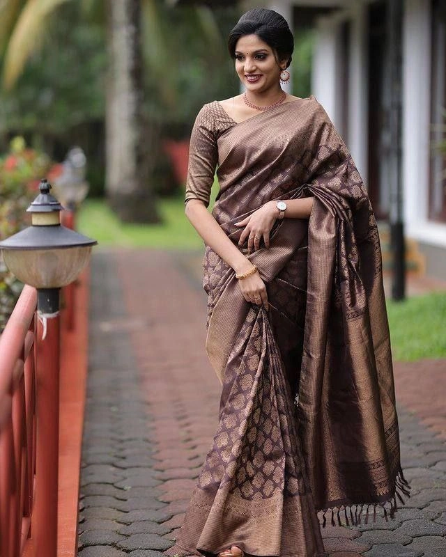 Soft Lichi Silk Saree with Golden Jari Border and Trendy Rich Pallu-Brown-1