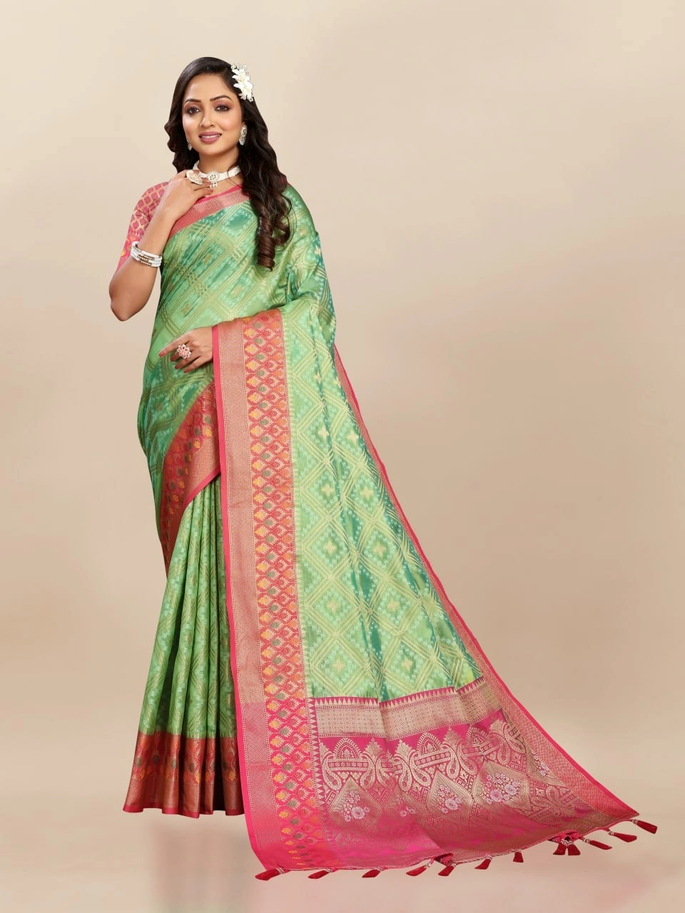 Soft Organza Silk Saree with Elegant Meenakari Weaving Design-Pista-3