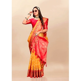 YNF Soft Organza Silk Saree with Meenakari Weaving, Rich Pallu, Zari Border & Silk Blouse