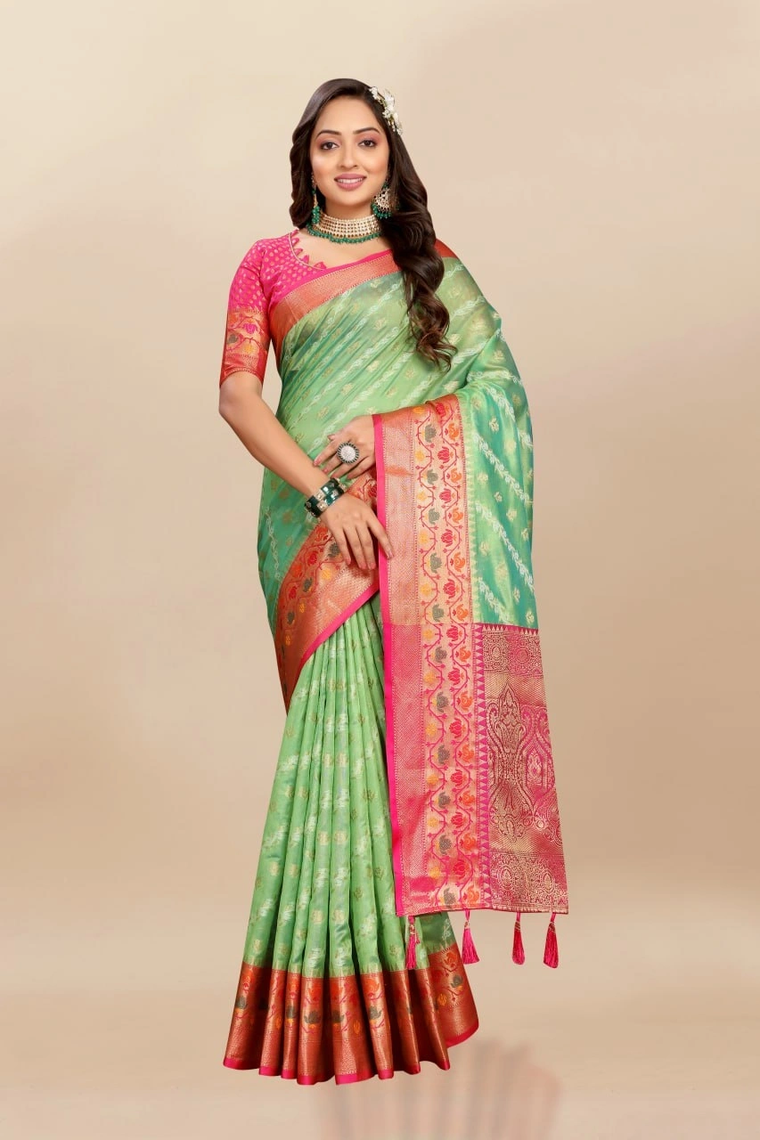 Soft Organza Silk Saree with Meenakari Weaving, Rich Pallu, Zari Border &amp; Silk Blouse-RMNX-313-Pista