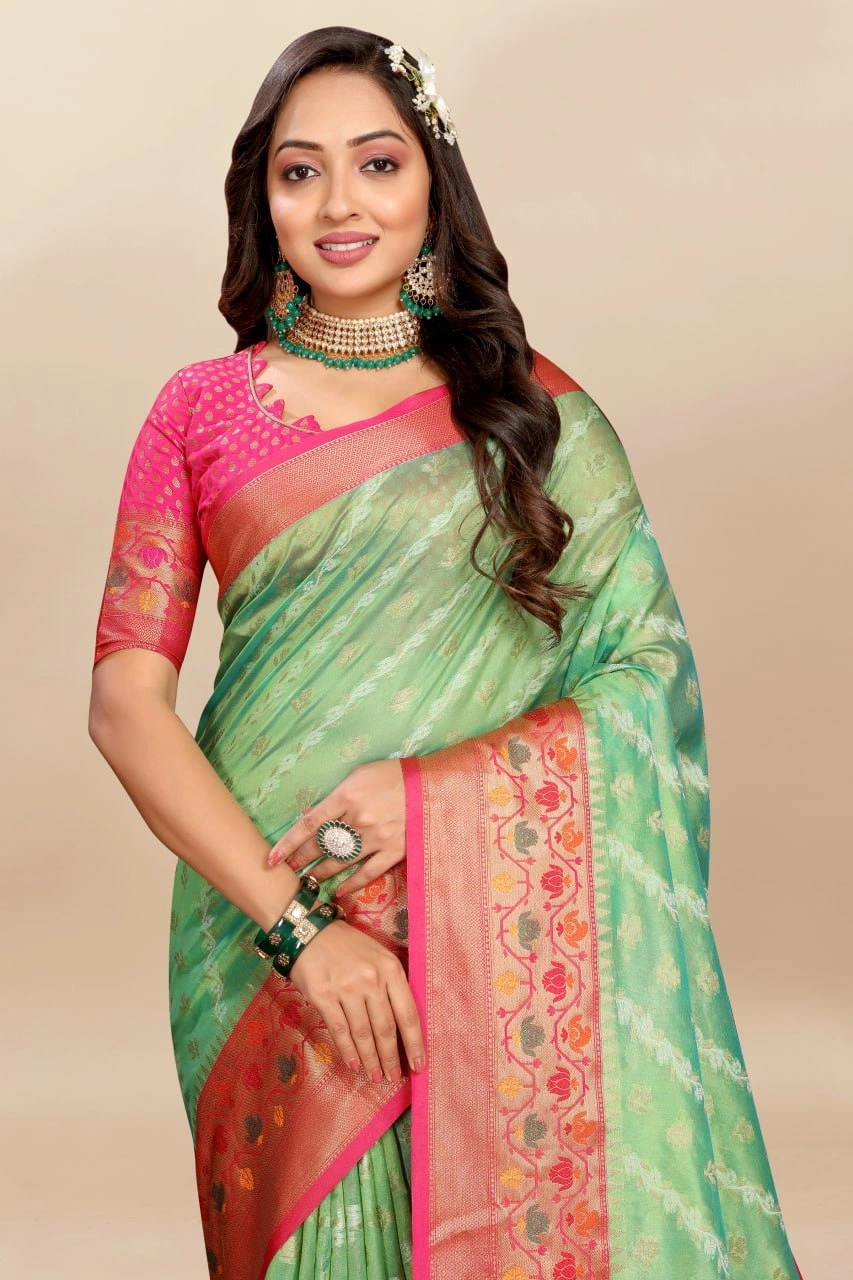 Soft Organza Silk Saree with Meenakari Weaving, Rich Pallu, Zari Border &amp; Silk Blouse-Pista-1