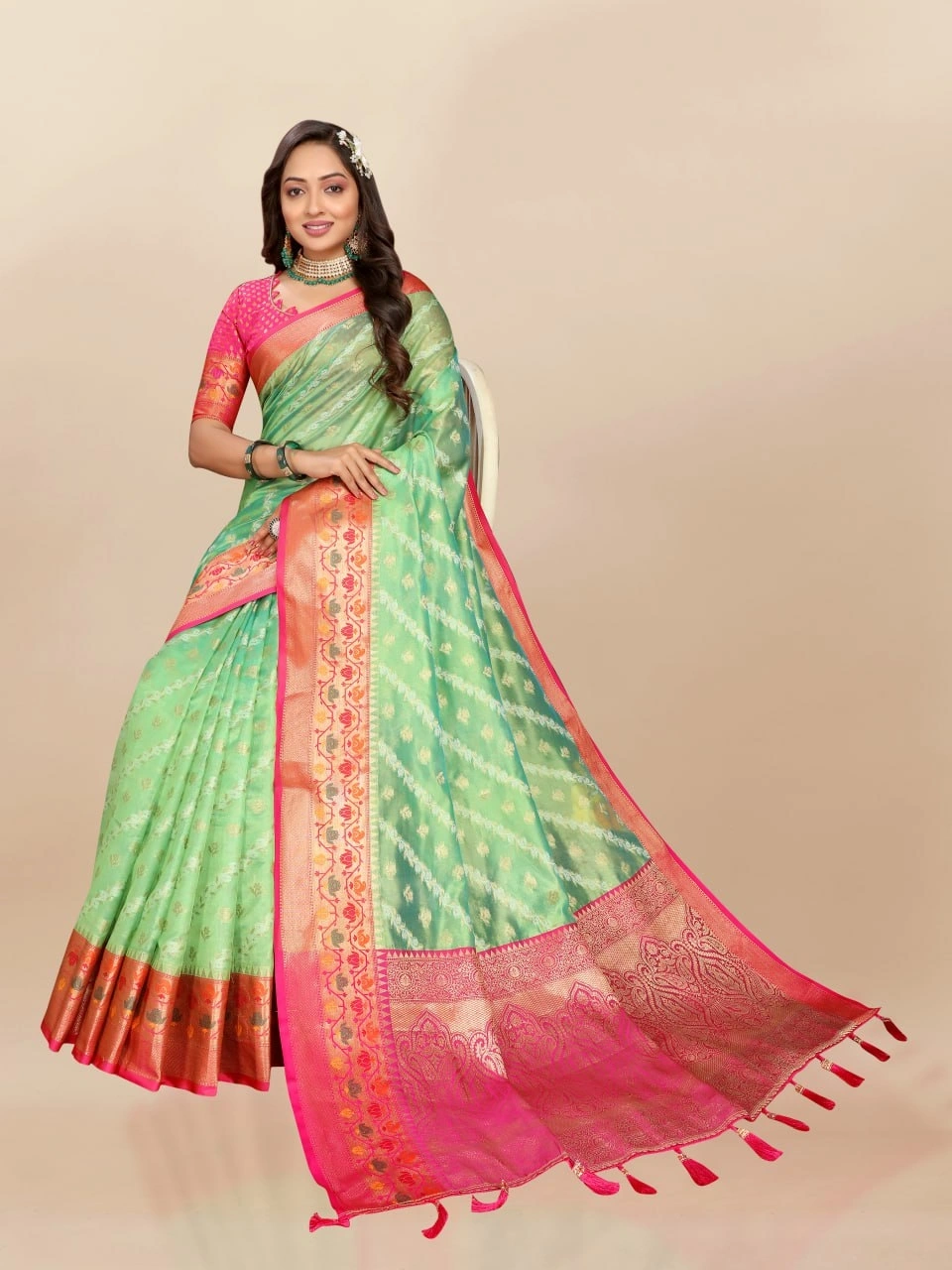 Soft Organza Silk Saree with Meenakari Weaving, Rich Pallu, Zari Border &amp; Silk Blouse-Pista-3