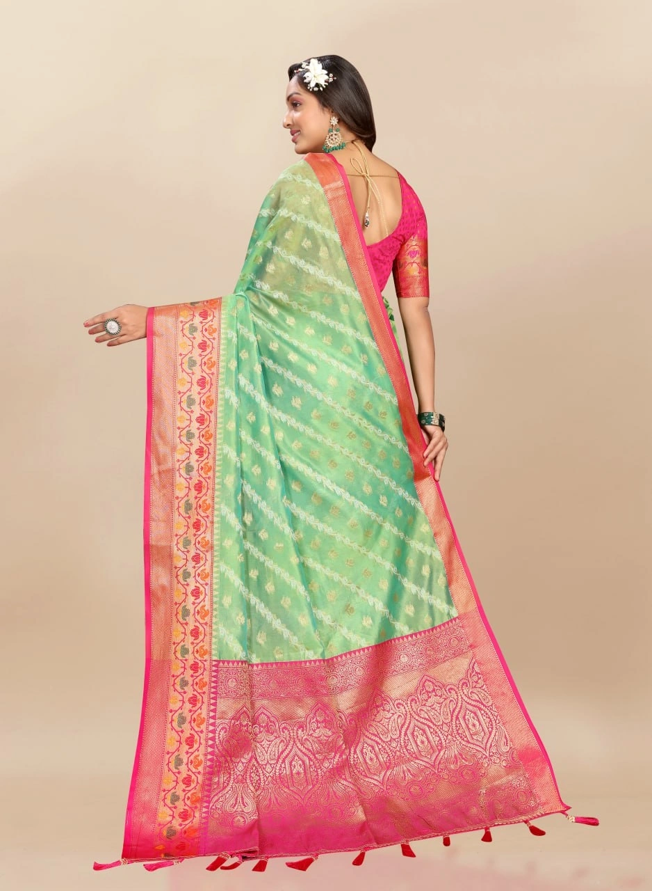 Soft Organza Silk Saree with Meenakari Weaving, Rich Pallu, Zari Border &amp; Silk Blouse-Pista-4