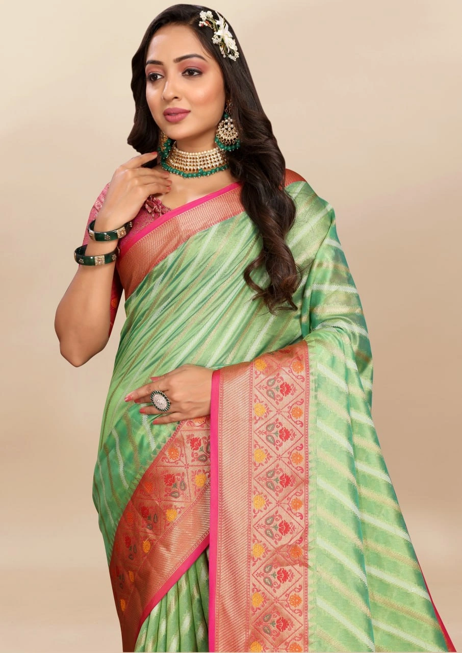 Soft Organza Silk Saree with Meenakari Weaving, Rich Pallu, Zari Border &amp; Silk Blouse-Pista-3