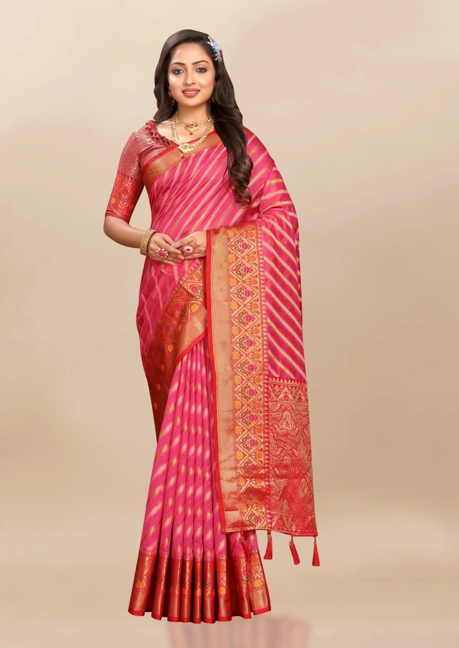 Soft Organza Silk Saree with Meenakari Weaving, Rich Pallu, Zari Border &amp; Silk Blouse-Red-2