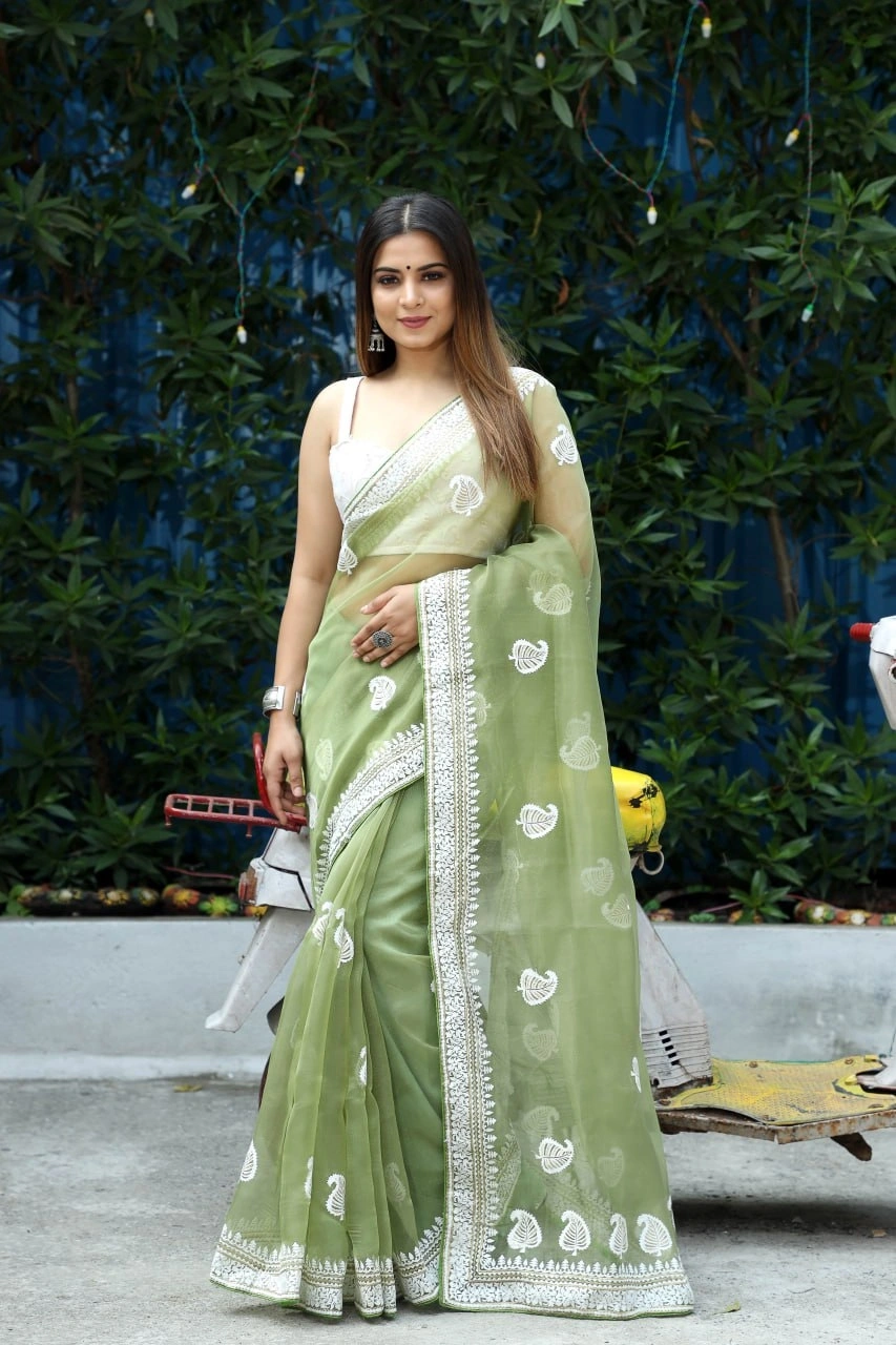 Organza Saree with Piping Border and Embroidery - Satin Blouse Included-Green-1