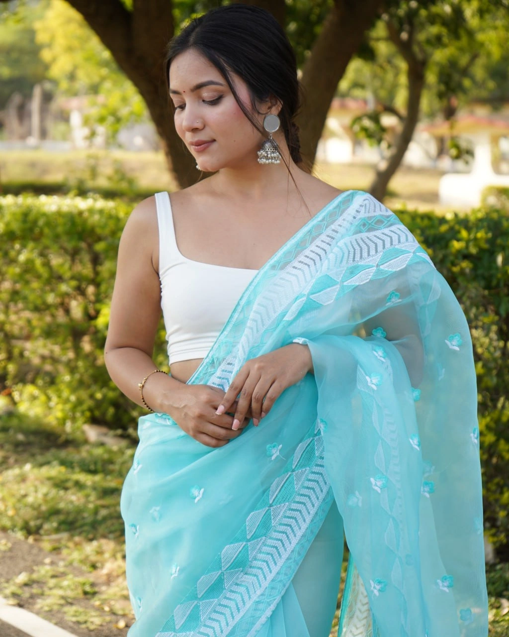 Organza Embroidered Saree with Satin Blouse - Elegant and Timeless-Sky Blue-1