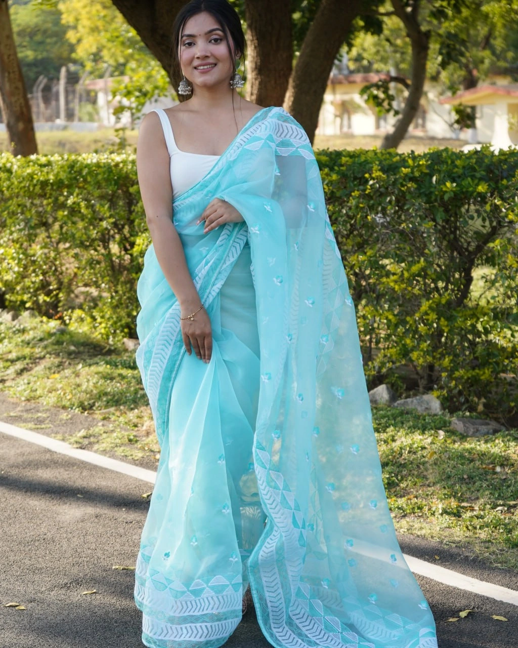 Organza Embroidered Saree with Satin Blouse - Elegant and Timeless-Sky Blue-2