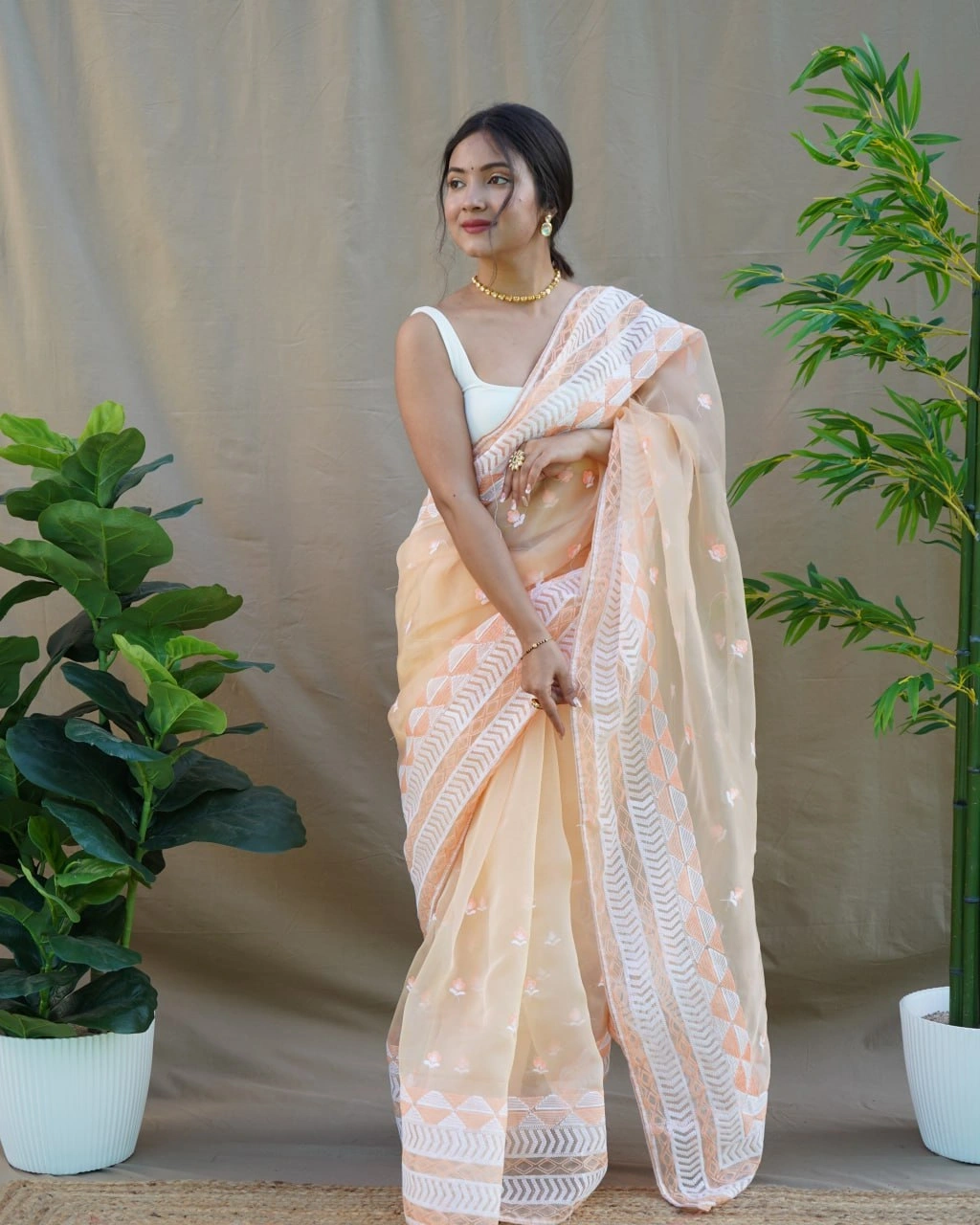 Organza Embroidered Saree with Satin Blouse - Elegant and Timeless-RVSG-KAMAL-Beige