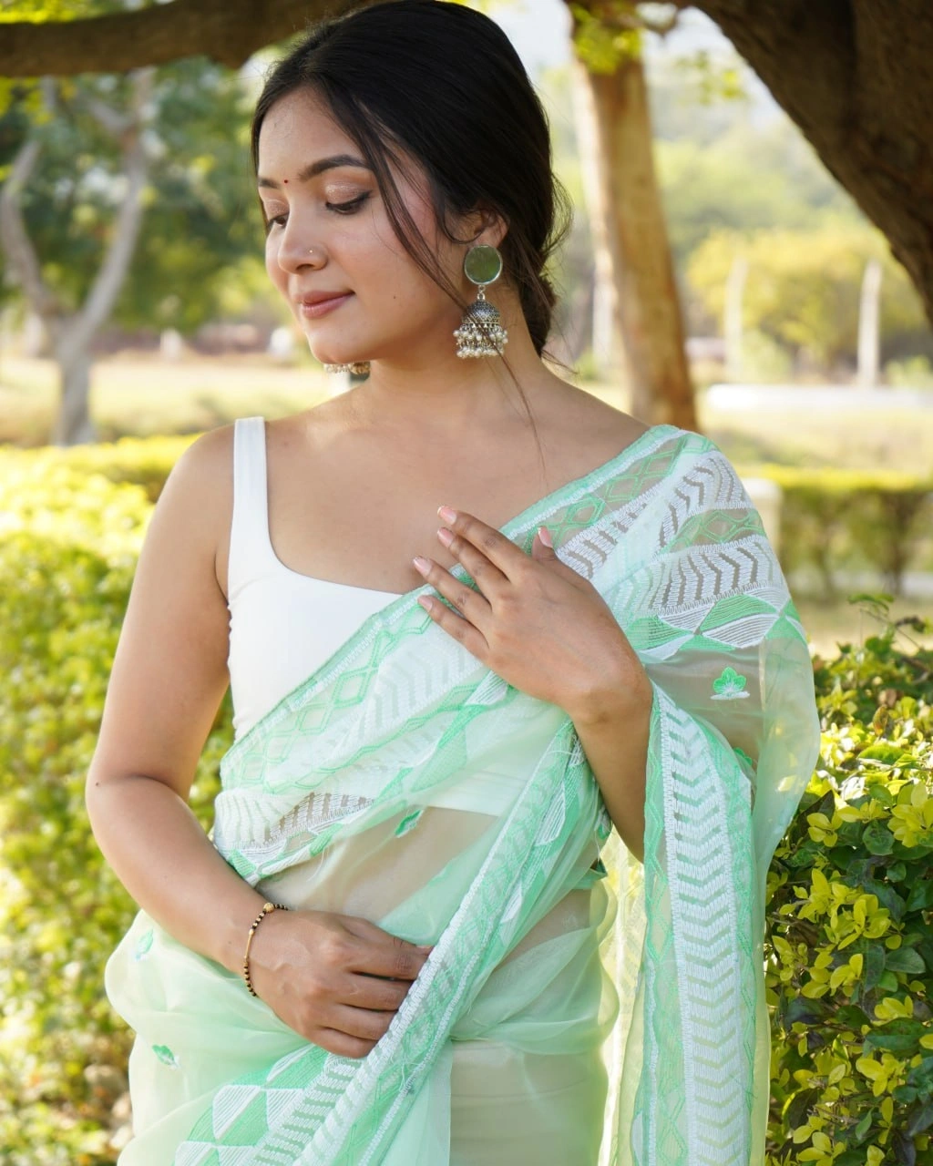 Organza Embroidered Saree with Satin Blouse - Elegant and Timeless-Rama-1