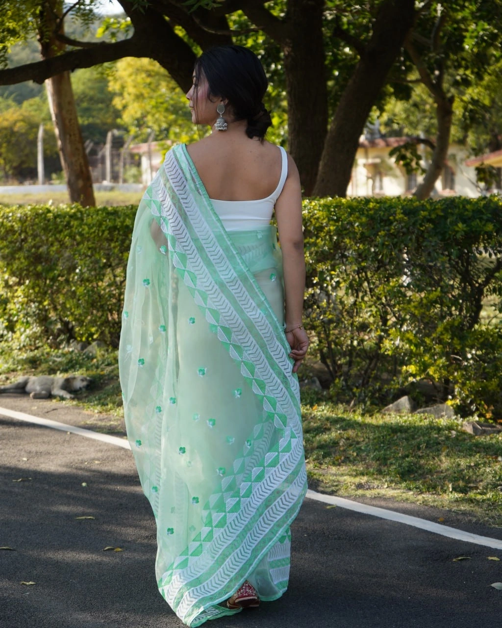 Organza Embroidered Saree with Satin Blouse - Elegant and Timeless-Rama-2