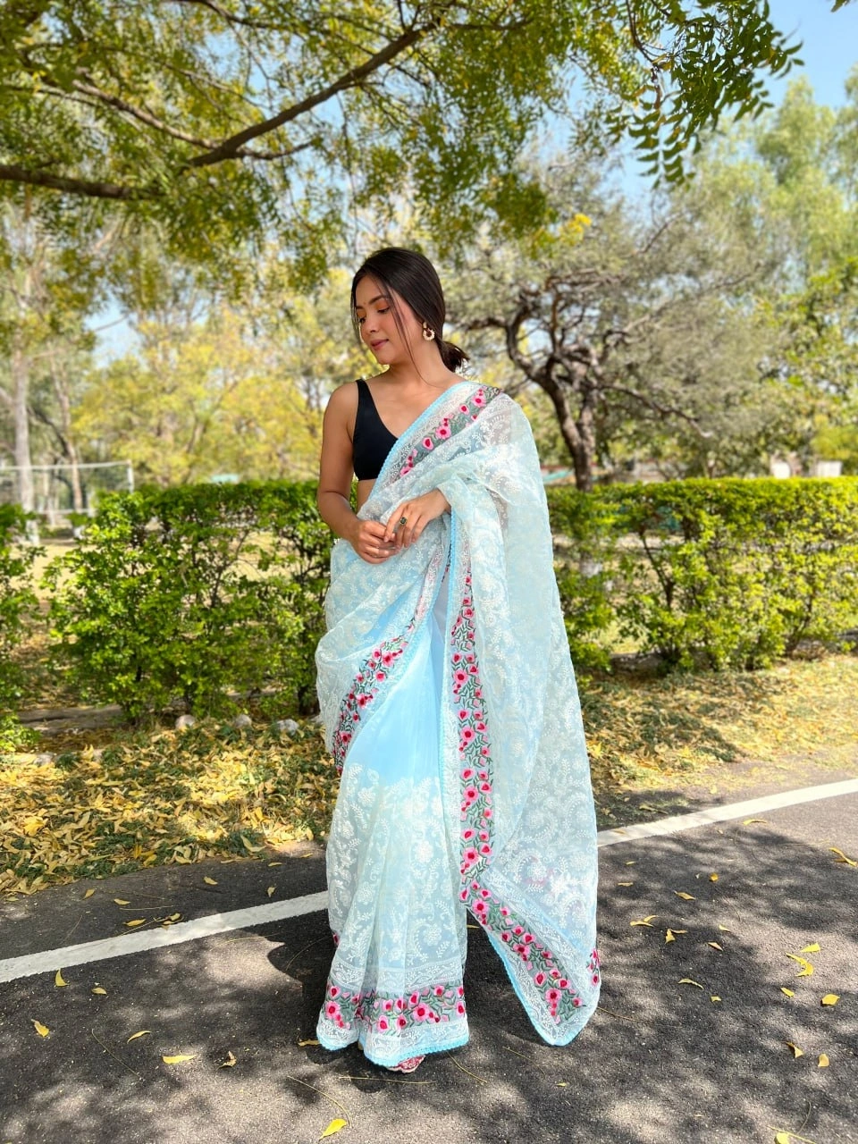 Organza Lukhanavi Chikankari Saree: Intricate Threadwork and Viscose Border-RVSGRANG-SkyBlue