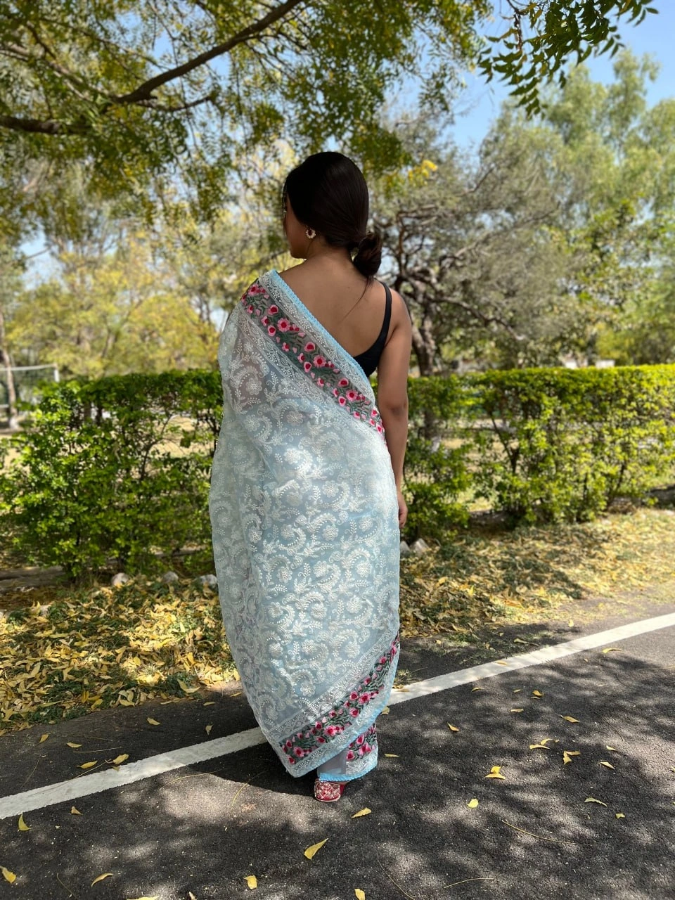 Organza Lukhanavi Chikankari Saree: Intricate Threadwork and Viscose Border-Sky Blue-2