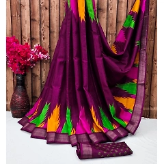 Handloom Temple Saree: Intricate Panel Design, Luxurious Gold Borders