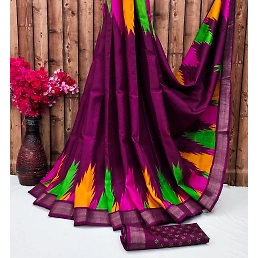 Handloom Temple Saree: Intricate Panel Design, Luxurious Gold Borders