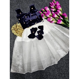 Pure Silk Lehenga with Zari Border and Velvet Blouse