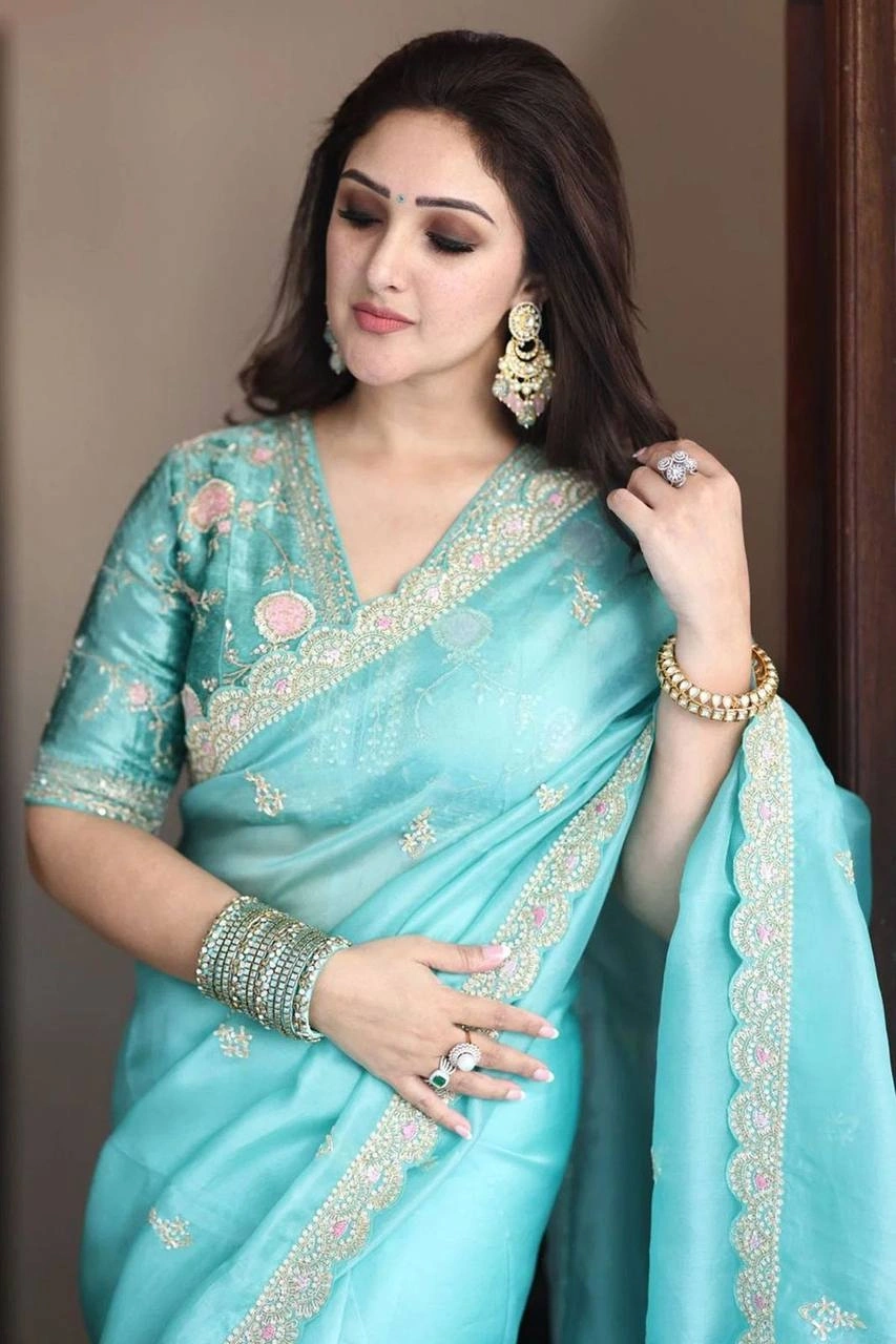 Beautiful Embroidered Organza Saree with Lace Border and Designer Blouse-Sky Blue-4