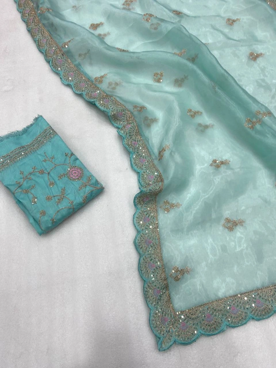 Beautiful Embroidered Organza Saree with Lace Border and Designer Blouse-Sky Blue-5