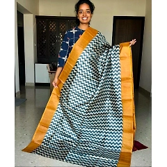Handloom Tussar Saree: Elegant Panel Design with Gold Borders