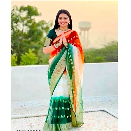 Elegant Kora Orgenza Jacquard Saree with Pure Zari Weaving