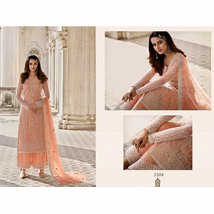 Elegant Butterfly Net Dress with Embroidery and Diamond Work