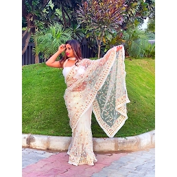 Butterscotch Net Saree: High-Quality, Embroidered, Double Layered, and Lightweight