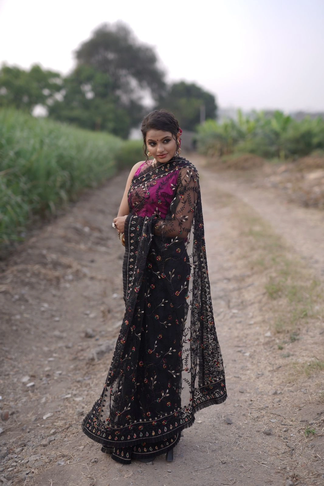 Butterscotch Net Saree: High-Quality, Embroidered, Double Layered, and Lightweight-Black-2