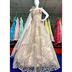 Exquisite Net Designer Gown with Intricate Embroidery