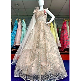 Exquisite Net Designer Gown with Intricate Embroidery