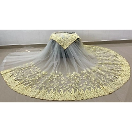 Embroidered Butterfly Net Saree with Diamond Work