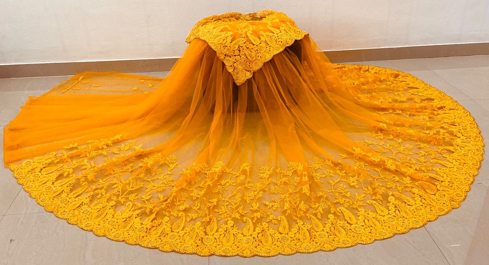 Embroidered Butterfly Net Saree with Diamond Work-Orange-1