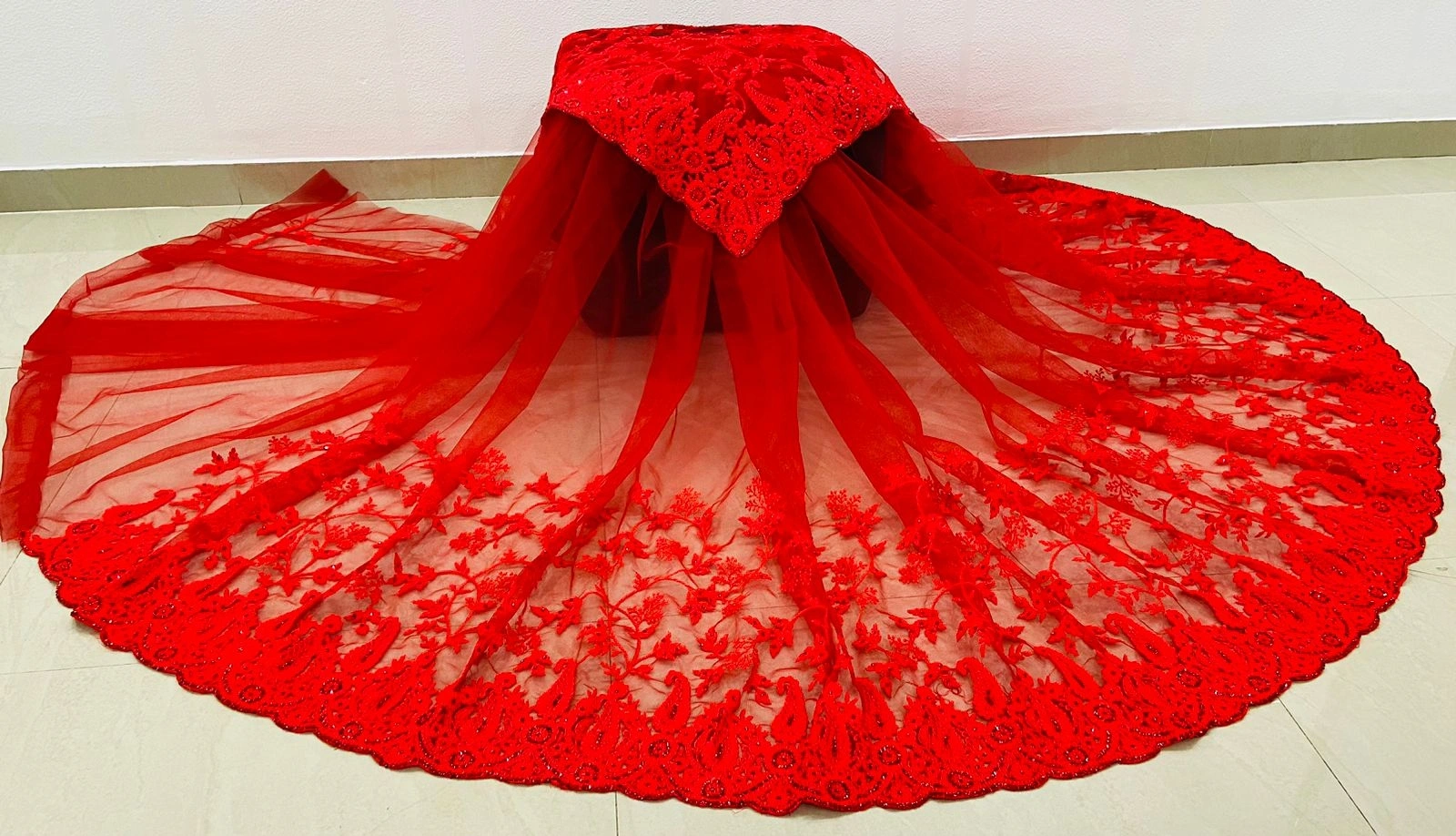 Embroidered Butterfly Net Saree with Diamond Work-Red-1