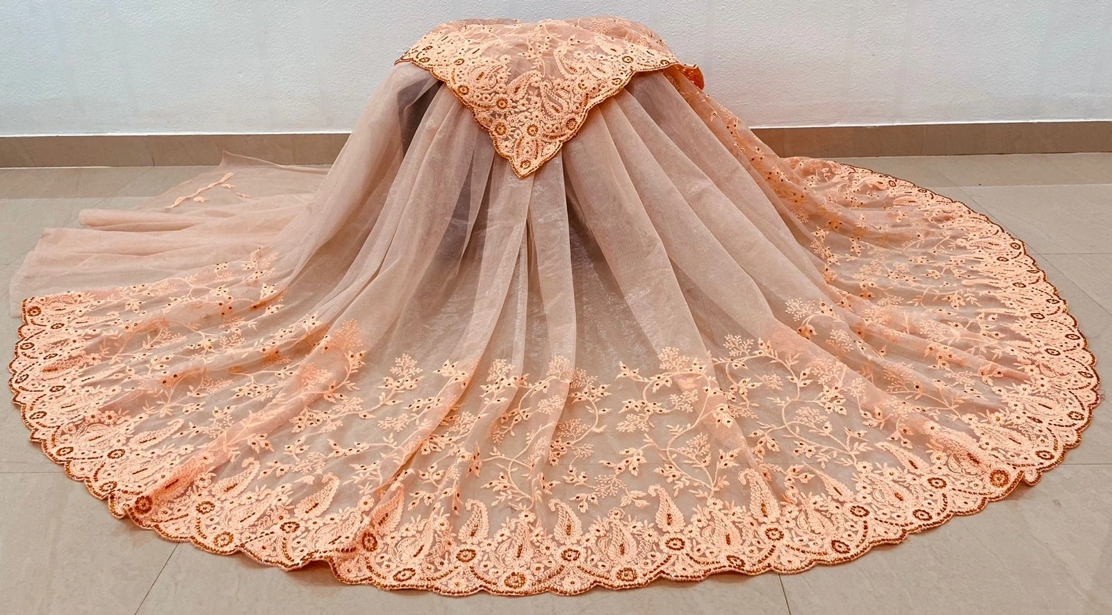 Embroidered Butterfly Net Saree with Diamond Work-Cream-2