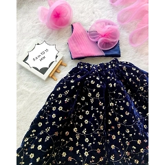 Velvet Sequin Skirt Set with Designer Blouse and Net Dupatta