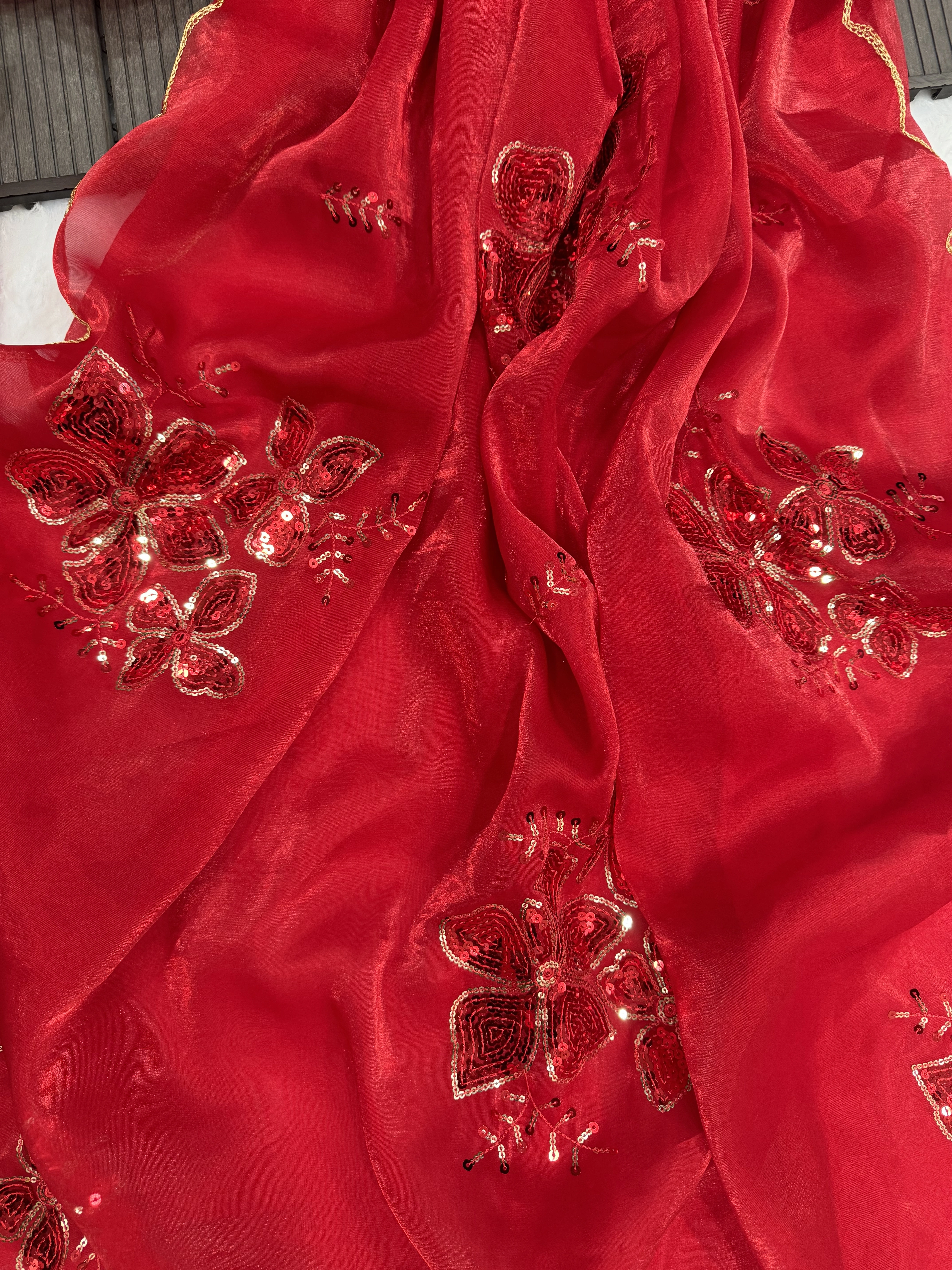 Sequins Embroidered Saree with Cutwork Border &amp; Jimi Choo Blouse-Red-5