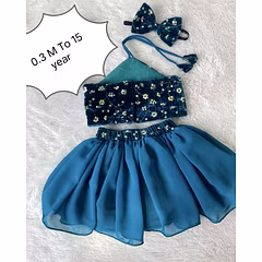 Designer Georgette Skirt with Velvet Belt and Sequin Blouse
