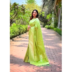Pure Banarasi Silk Saree with Rich Zari and Lace Border
