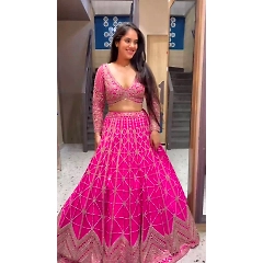 Stunning Lehengha Set: Foux Gorgette, Sequins, and Delicate Lace