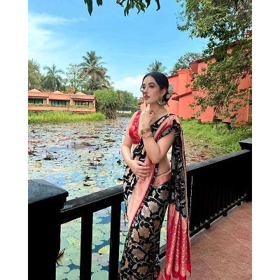 YNF Banarasi Silk Saree: Exquisite Brocade Work, Gold Zari, 5.5m Length