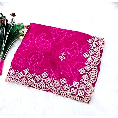 Embroidered Silk Saree with Cutwork Border and Zari Blouse