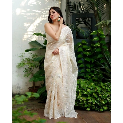YNF Pure Soft Off-White Silk Organza Saree: Elegant Lucknowi Embroidery & Silver Zari, Stunning Contrast Border
