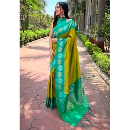 Soft Silk Saree with Rich Zari Work and Unique Contrast Border