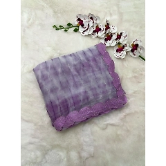Shimmering Silk Saree with Designer Weaving and Embellished Lace Blouse