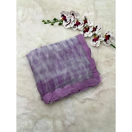 Shimmering Silk Saree with Designer Weaving and Embellished Lace Blouse